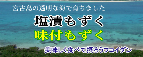 宮古島産もずく